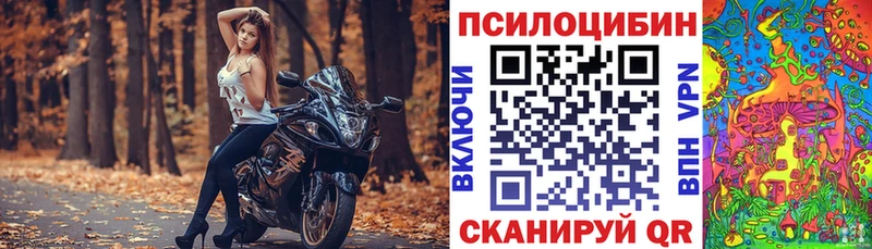 Псилоцибиновые грибы Cubensis  купить наркоту  Бийск 