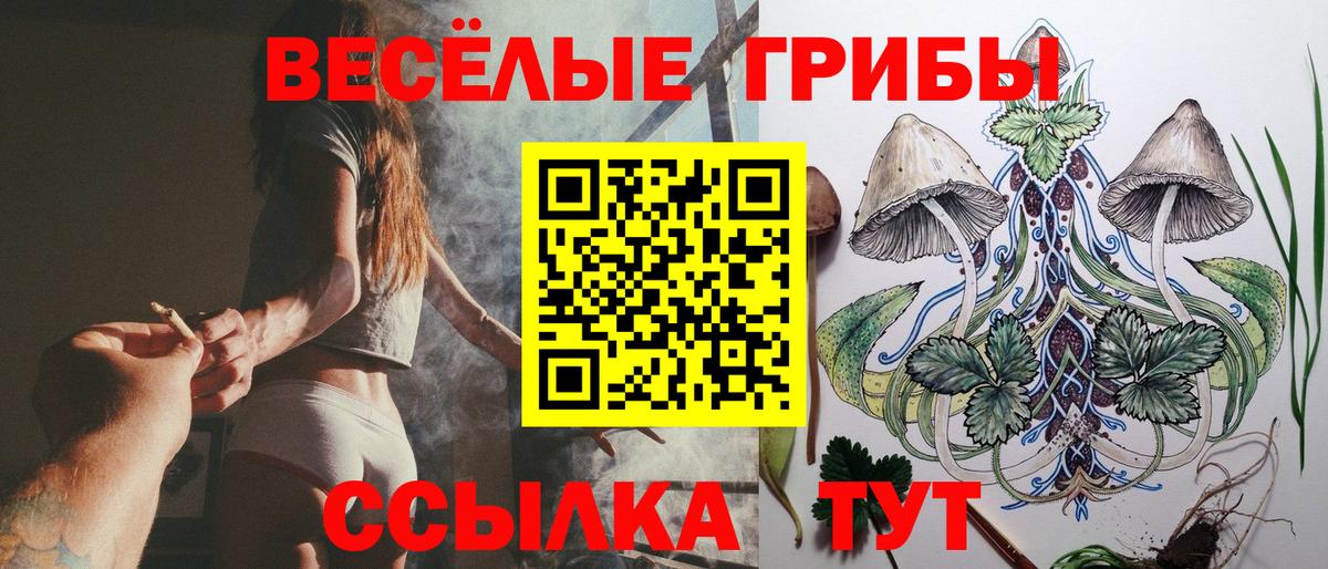 Галлюциногенные грибы GOLDEN TEACHER  Вход с VPN  Бийск 