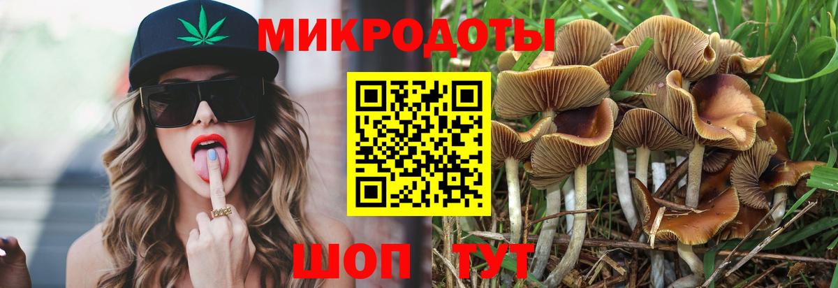 Псилоцибиновые грибы Psilocybine cubensis Бийск