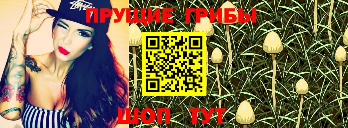 Галлюциногенные грибы MAGIC MUSHROOMS  Псилоцибиновые грибы мухоморы  наркошоп  Бийск 