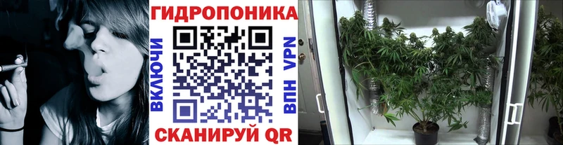 Шишки марихуана Bruce Banner  Бийск 