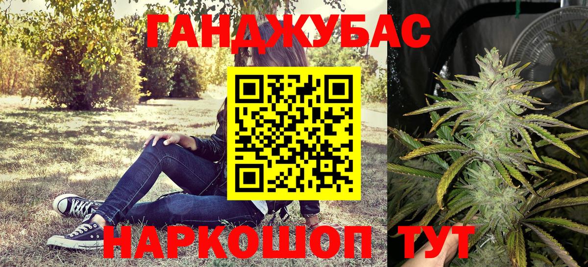 Канабис сатива  Бийск  МАРИХУАНА OG Kush  Бошки марихуана Bruce Banner  Канабис план 